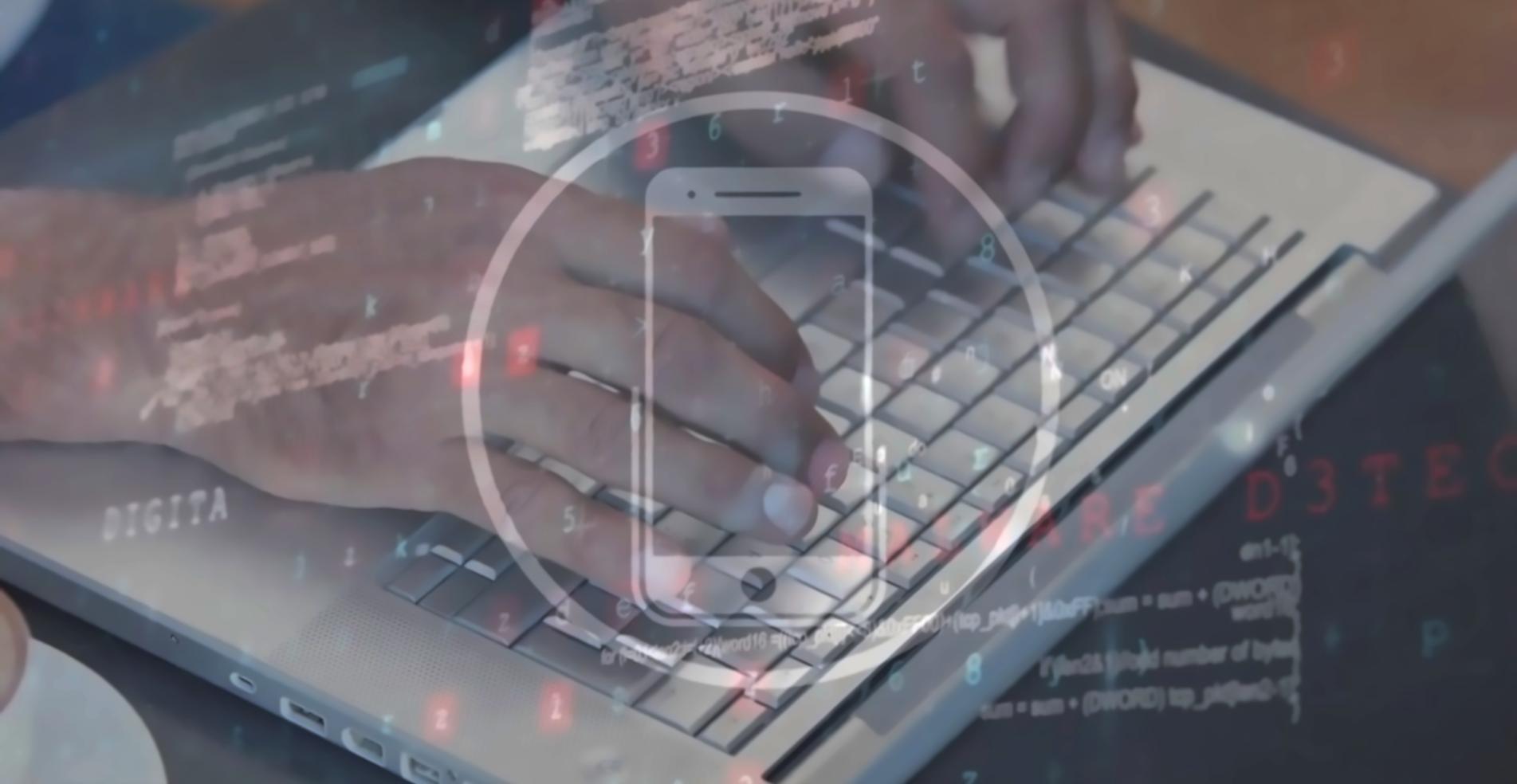 Ambiente de trabajo colaborativo entre el equipo de Dorzex y sus socios afiliados